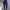 Ausuda Women Solid Cotton Straight Pants | Comfortable Elastic Waist Casual Daily Wear Trousers (Blue)