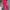 Ausuda Women Solid Cotton Straight Pants | Comfortable Elastic Waist Casual Daily Wear Trousers (Pink)