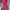 Ausuda Women Solid Cotton Straight Pants | Comfortable Elastic Waist Casual Daily Wear Trousers (Pink)