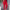 Ausuda Women Solid Cotton Straight Pants | Comfortable Elastic Waist Casual Daily Wear Trousers (Red)