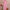 Ausuda Women Pure Cotton Floral Printed Co-Ord Set | Pink Casual Top & Pant Set