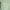 Ausuda Women Pure Cotton Printed Co-Ord Set | Pista Green Floral Top & Pant Set