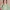 Ausuda Women Pure Cotton Printed Co-Ord Set | Pista Green Floral Top & Pant Set