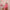 Ausuda Women Pure Cotton Printed Co-Ord Set | Pink Casual Top & Pant Set