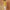 Ausuda Women Pure Cotton Yellow Printed Short Kurti | Casual Daily Wear Ethnic Cotton Top