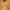 Ausuda Women Pure Cotton Yellow Printed Short Kurti | Casual Daily Wear Ethnic Cotton Top