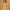 Ausuda Women Pure Cotton Yellow Printed Short Kurti | Casual Daily Wear Ethnic Cotton Top